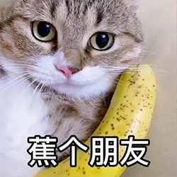 蕉个朋友表情包